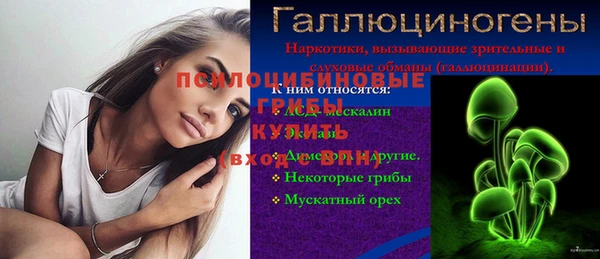ПСИЛОЦИБИНОВЫЕ ГРИБЫ Абаза