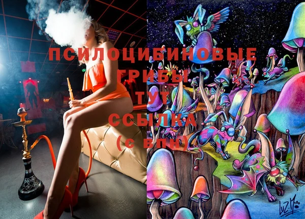 прущие крисы Алексин