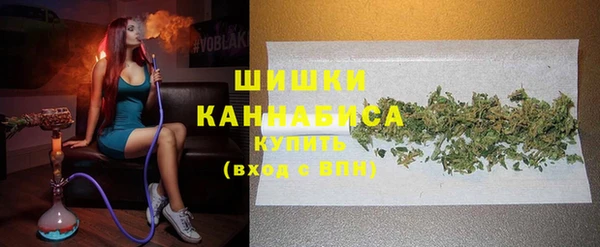 ПСИЛОЦИБИНОВЫЕ ГРИБЫ Абаза