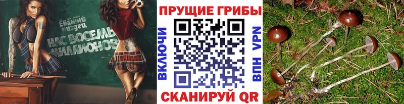 Галлюциногенные грибы GOLDEN TEACHER  Чишмы 